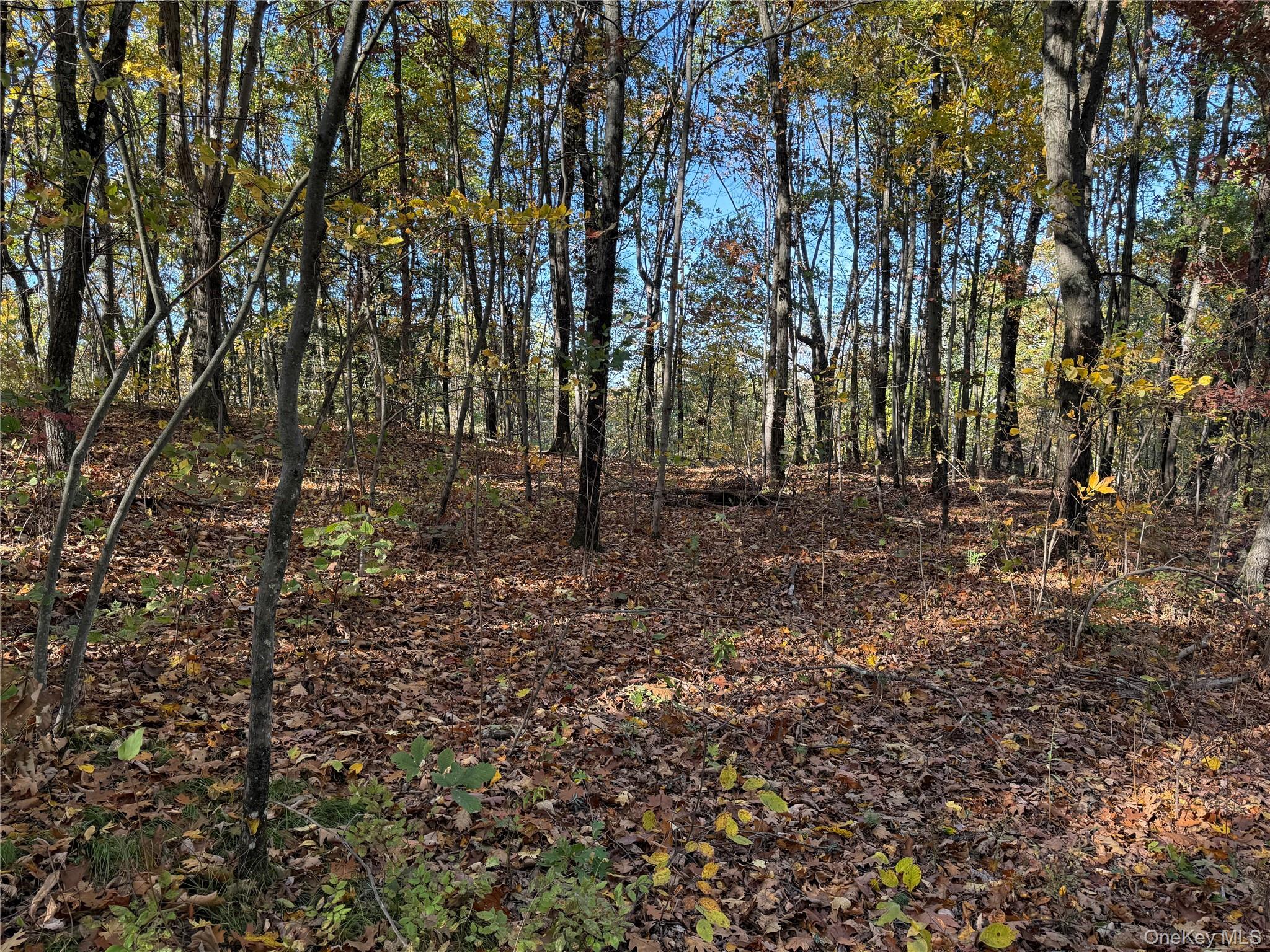 #12 photo, 36 Fallkill Road, Hyde Park , NY 12538