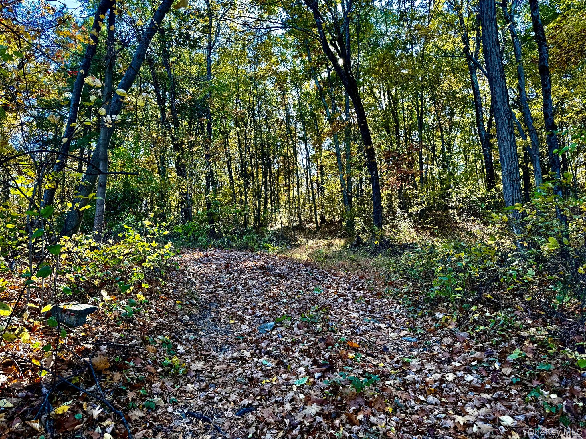 #2 photo, 36 Fallkill Road, Hyde Park , NY 12538