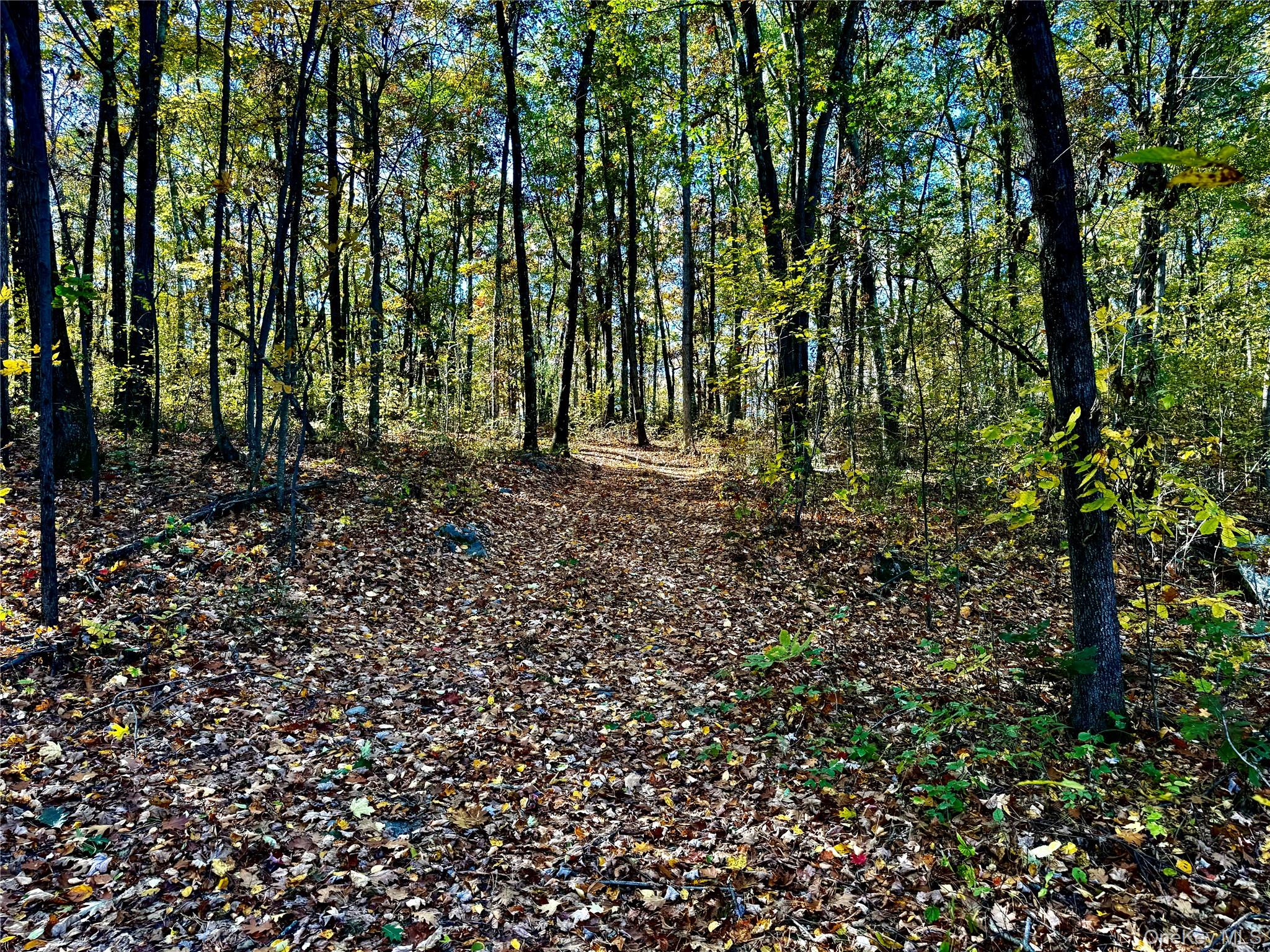 #3 photo, 36 Fallkill Road, Hyde Park , NY 12538