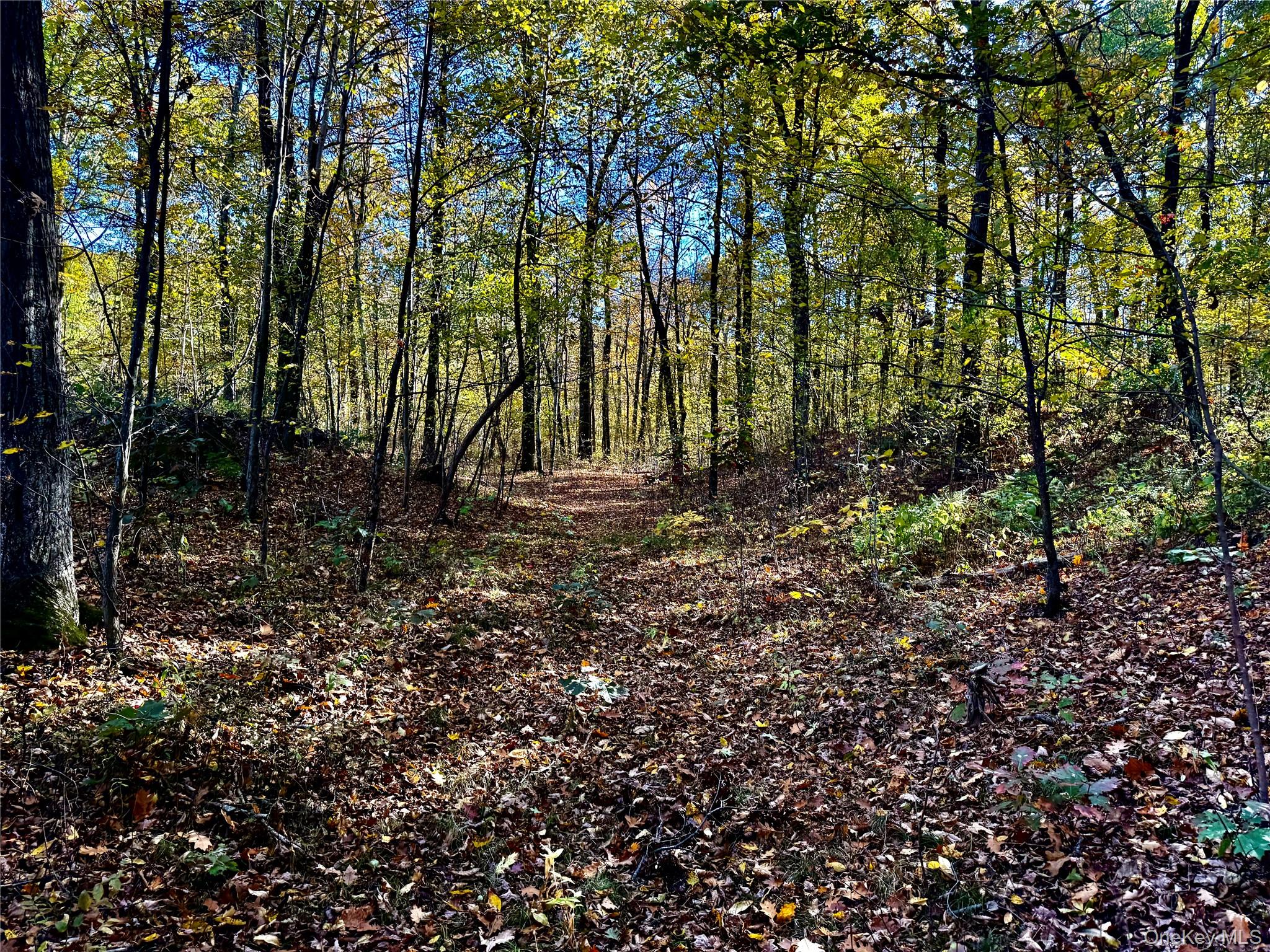 #5 photo, 36 Fallkill Road, Hyde Park , NY 12538