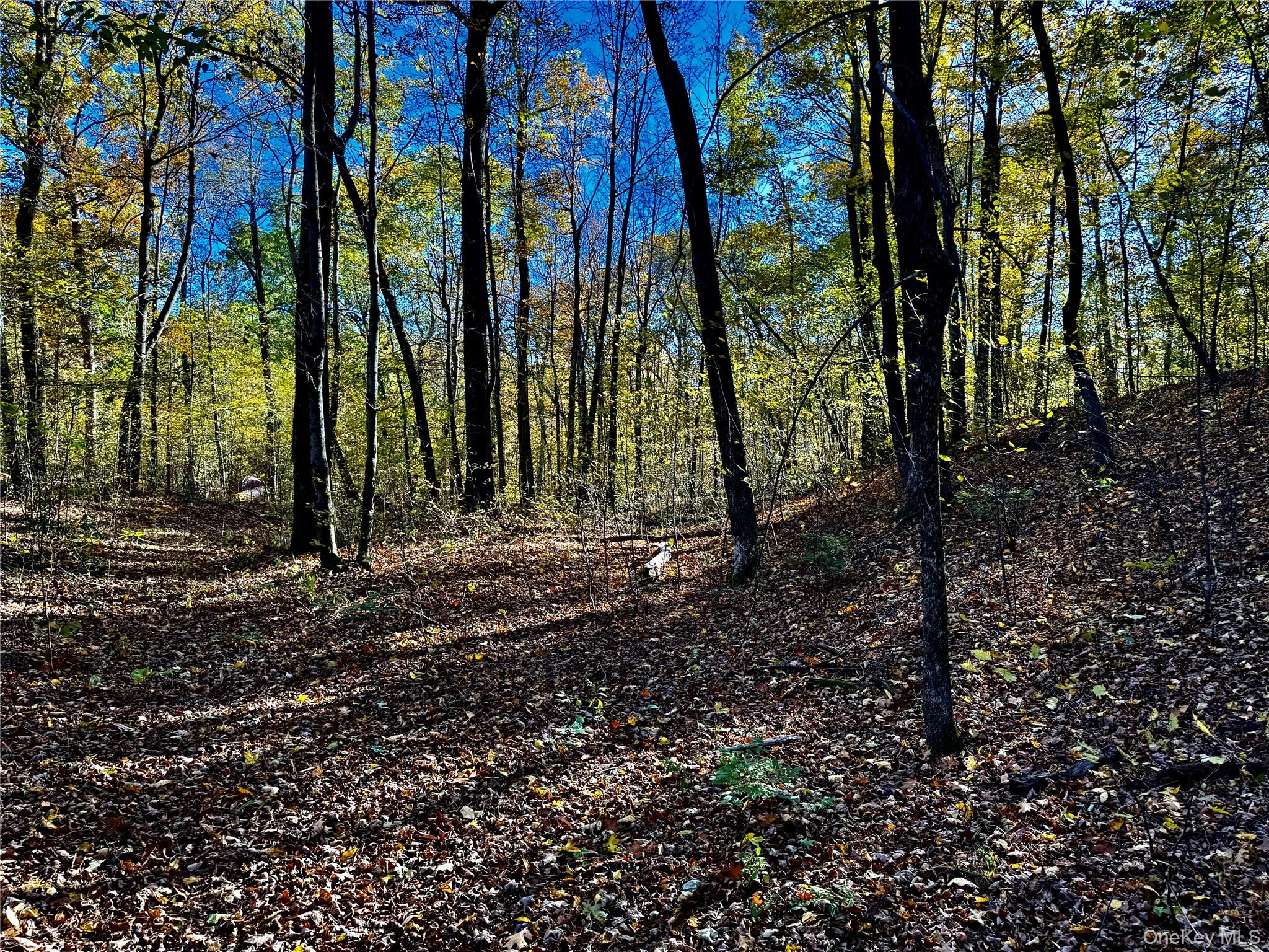 #6 photo, 36 Fallkill Road, Hyde Park , NY 12538