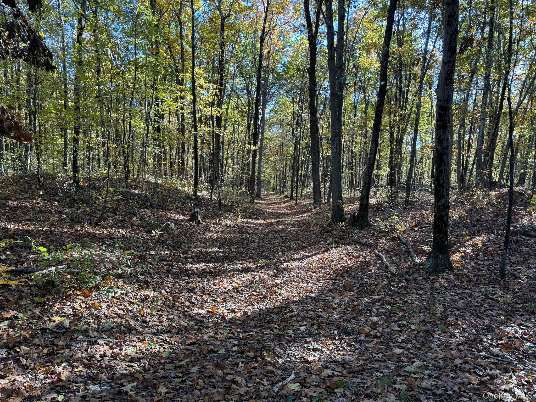 #7 photo, 36 Fallkill Road, Hyde Park , NY 12538