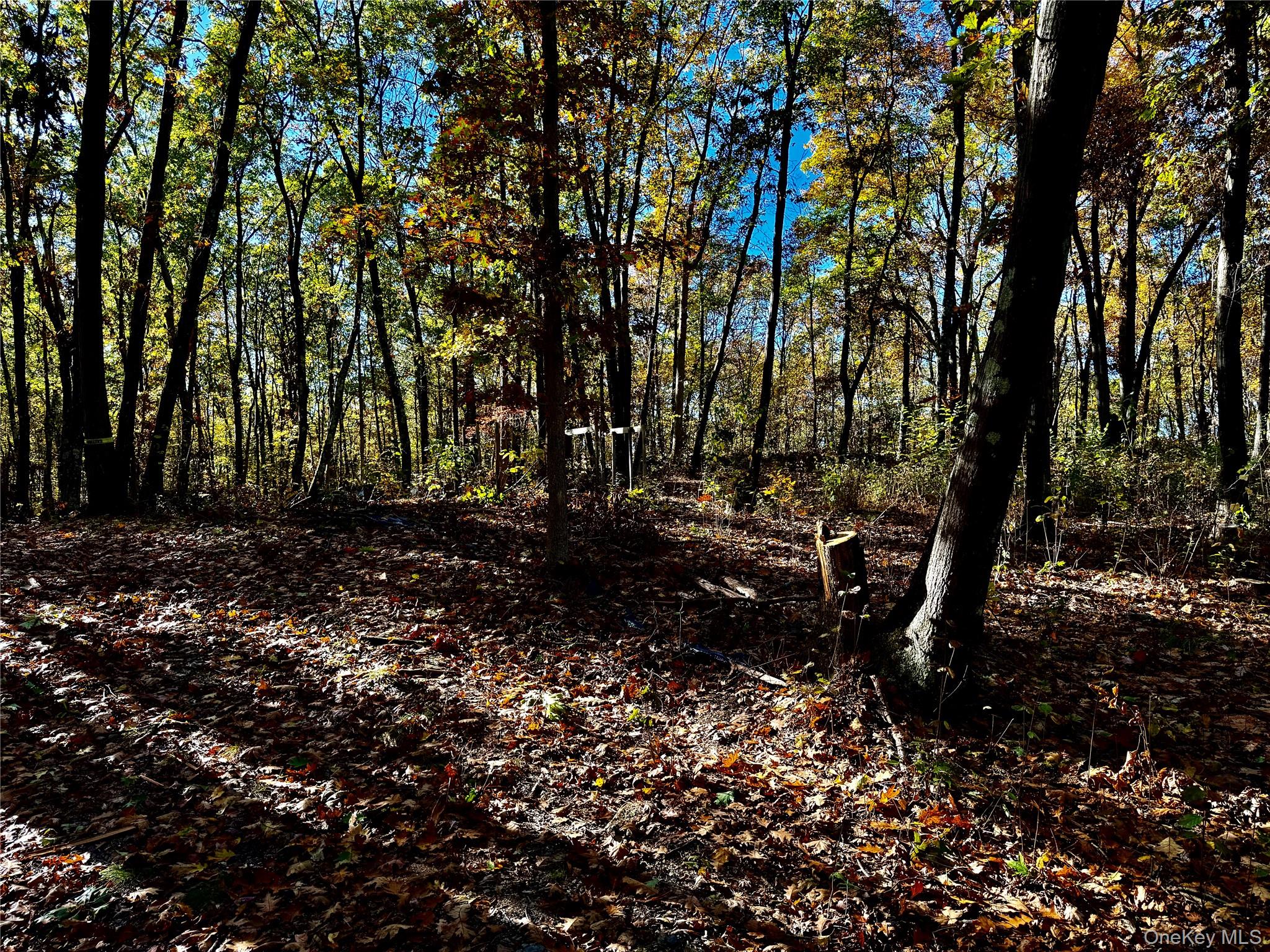 #8 photo, 36 Fallkill Road, Hyde Park , NY 12538