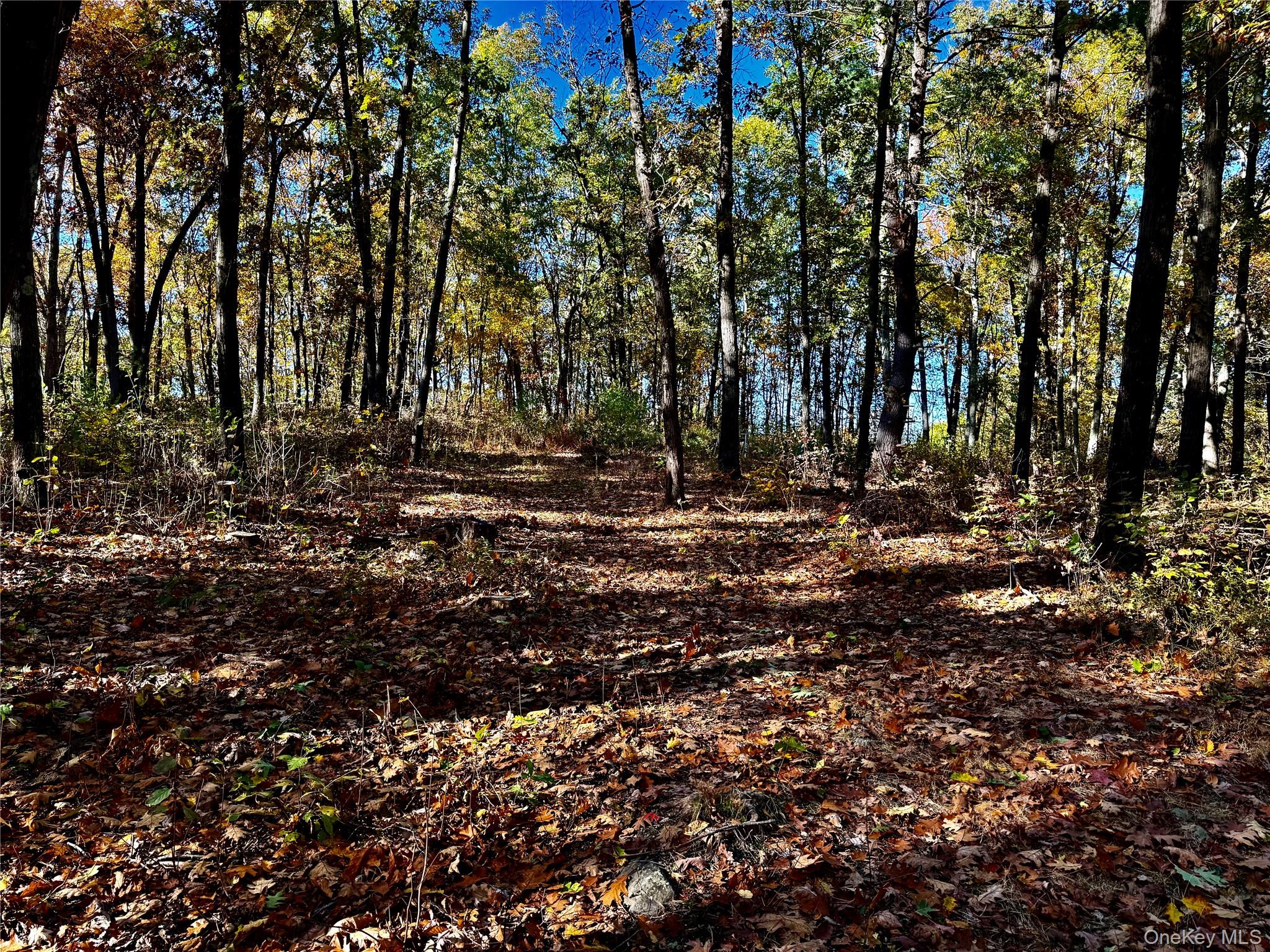 #9 photo, 36 Fallkill Road, Hyde Park , NY 12538