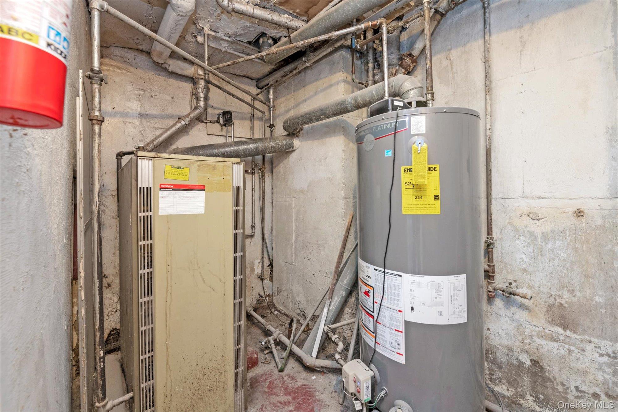 #15 photo, 156 E 88th Street, Brooklyn , NY 11236