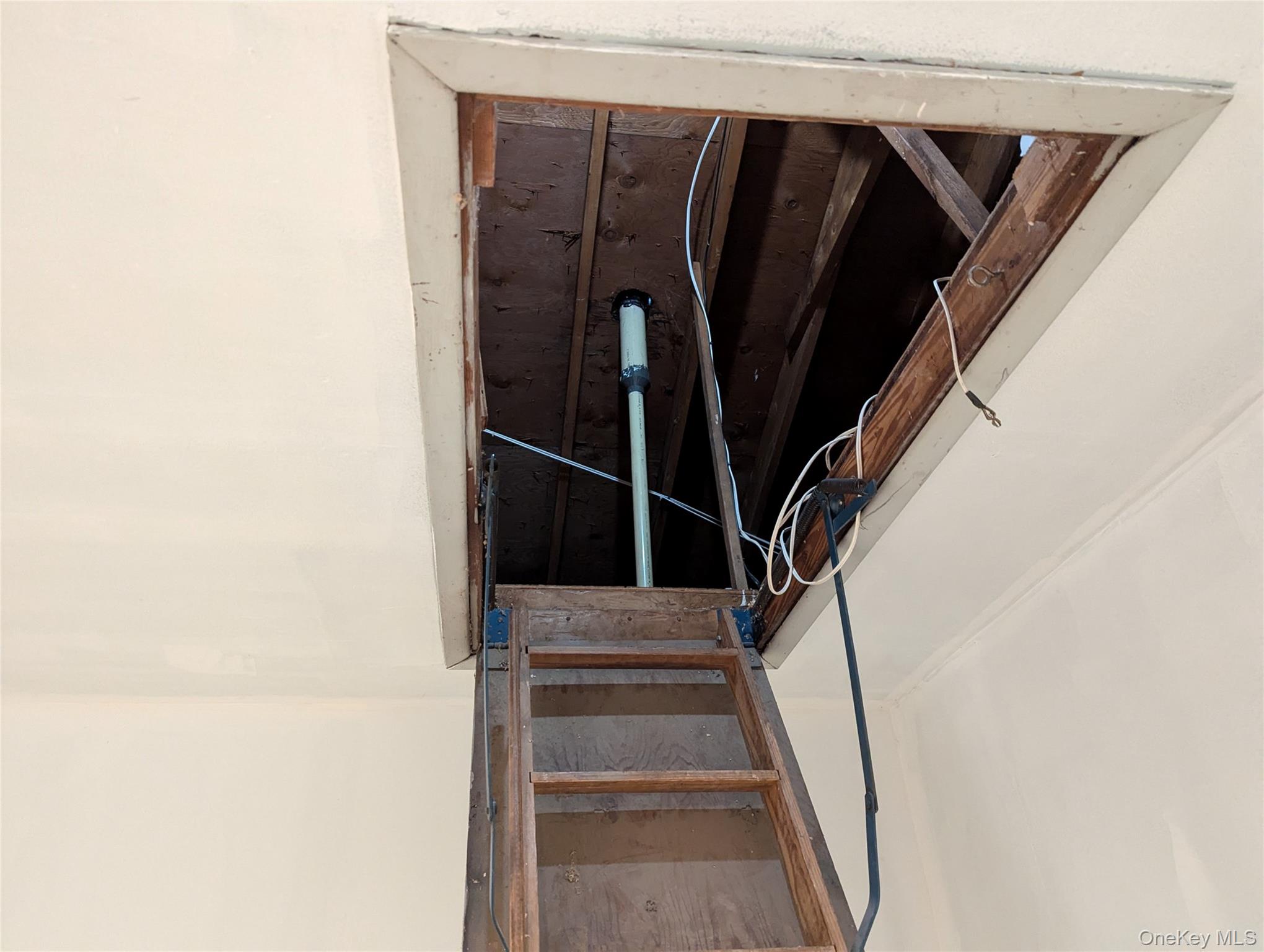 #18 photo, 144 Sequoia Drive, サフォーク郡 Coram , NY 11727