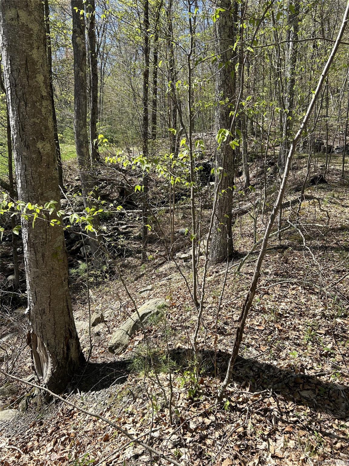 #1 photo, 14 Hawk Mountain Drive, Sparrowbush , NY 12780