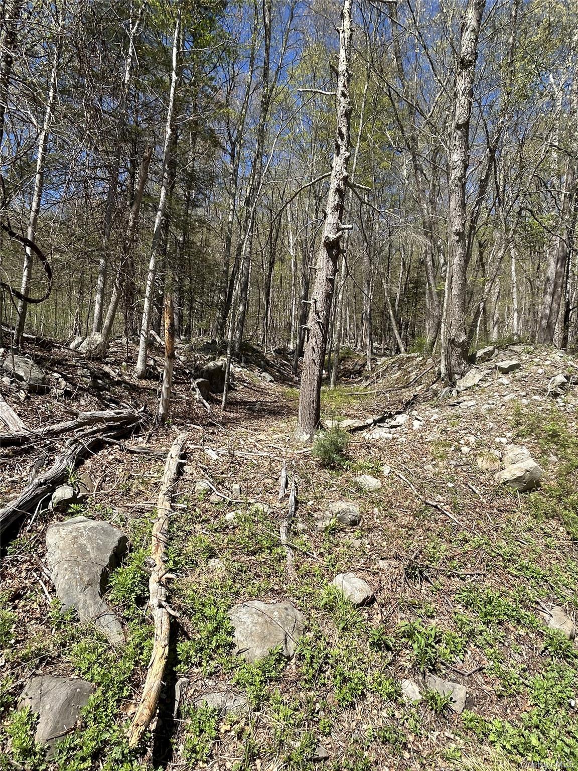 #10 photo, 14 Hawk Mountain Drive, Sparrowbush , NY 12780