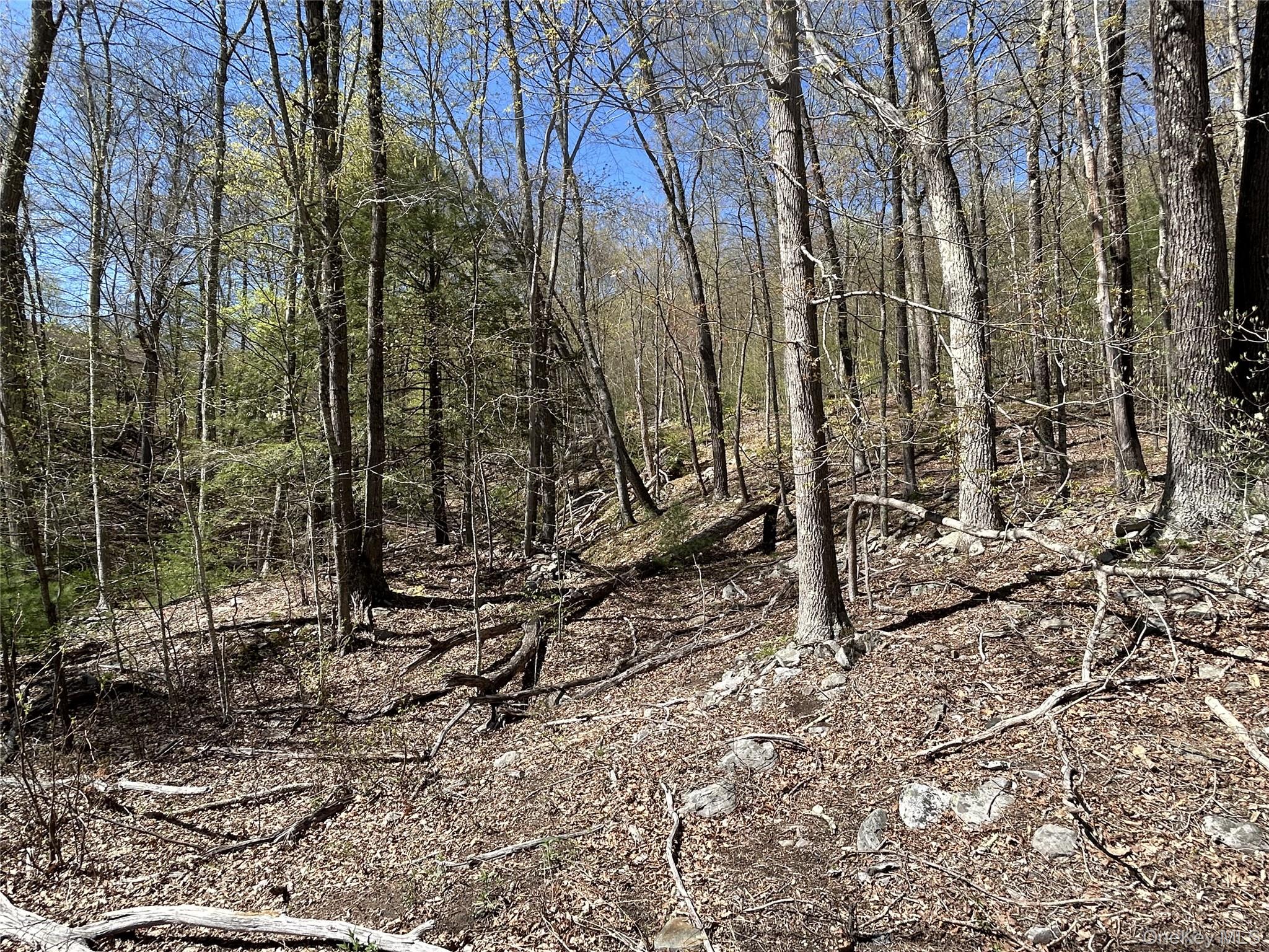 #11 photo, 14 Hawk Mountain Drive, Sparrowbush , NY 12780