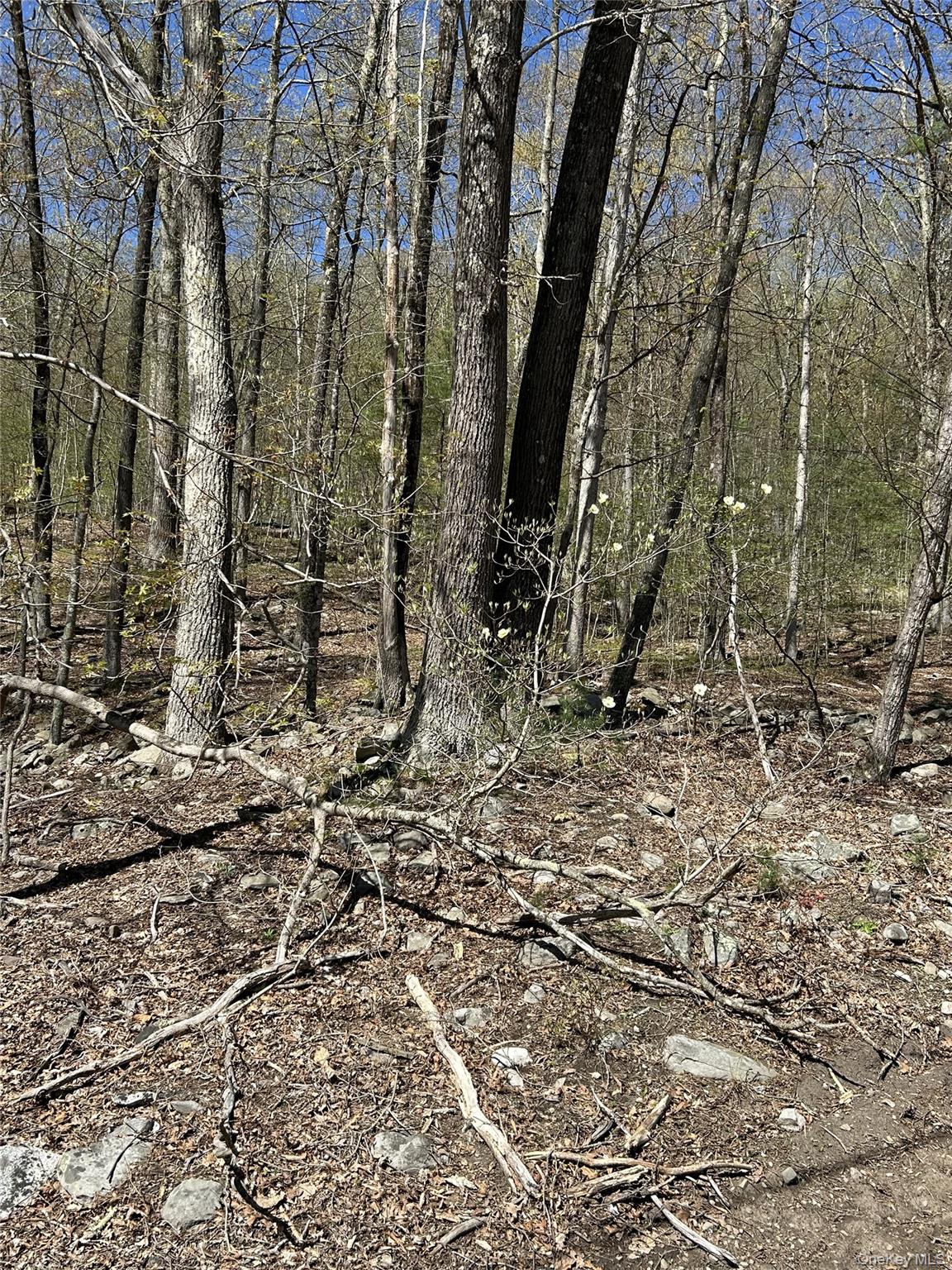 #12 photo, 14 Hawk Mountain Drive, Sparrowbush , NY 12780