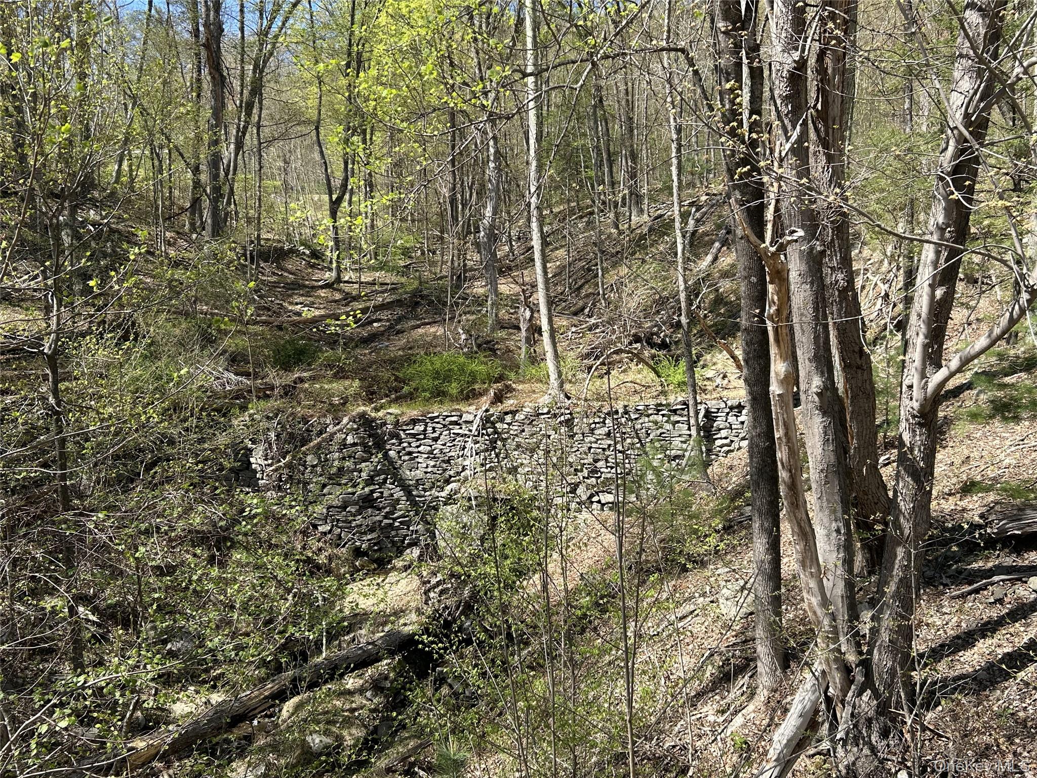 #13 photo, 14 Hawk Mountain Drive, Sparrowbush , NY 12780