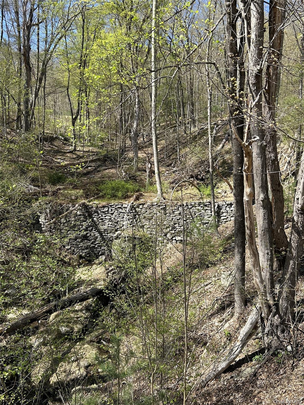 #14 photo, 14 Hawk Mountain Drive, Sparrowbush , NY 12780