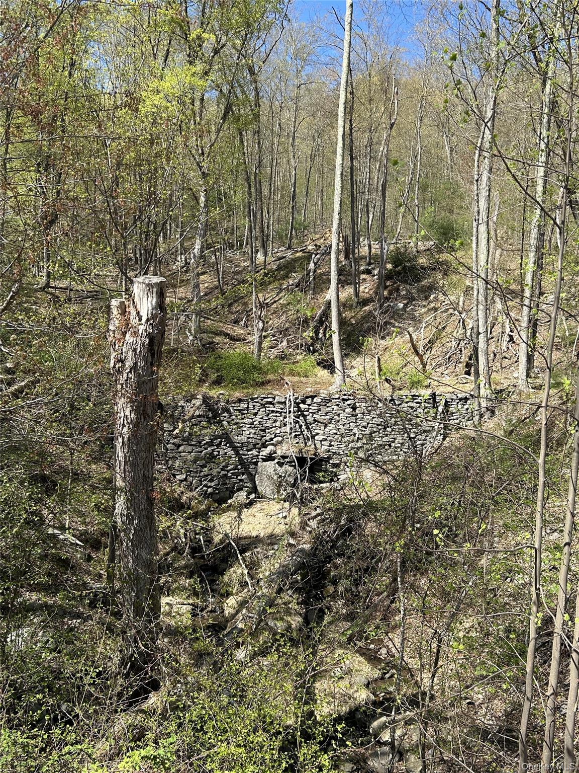 #15 photo, 14 Hawk Mountain Drive, Sparrowbush , NY 12780