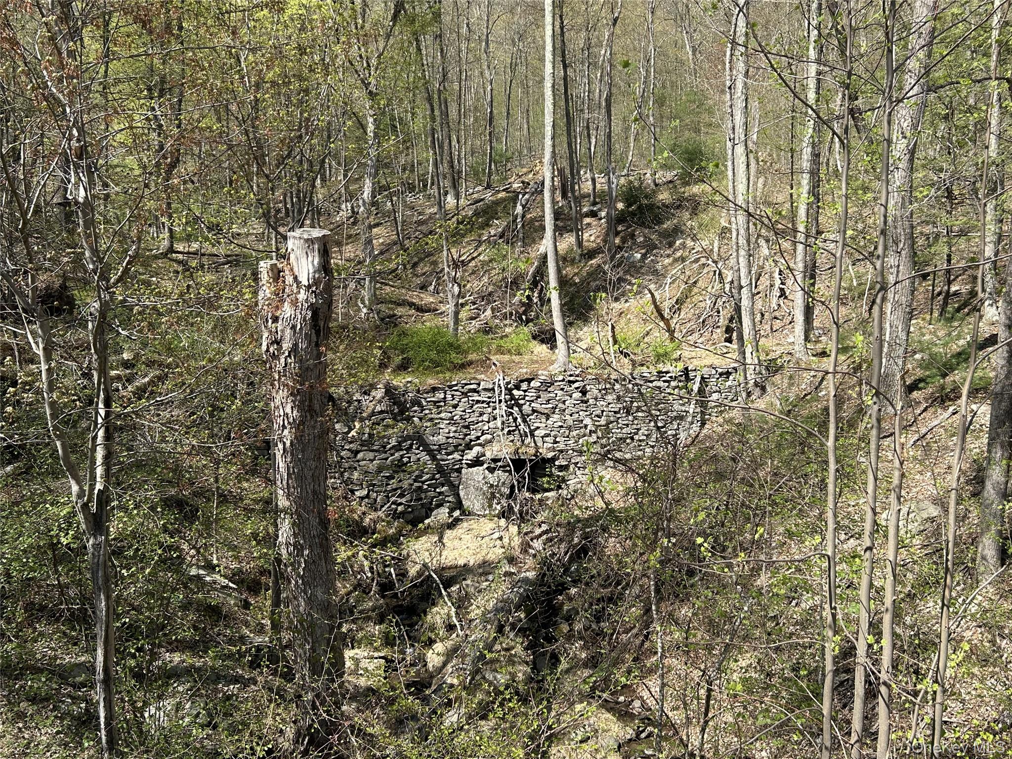 #16 photo, 14 Hawk Mountain Drive, Sparrowbush , NY 12780