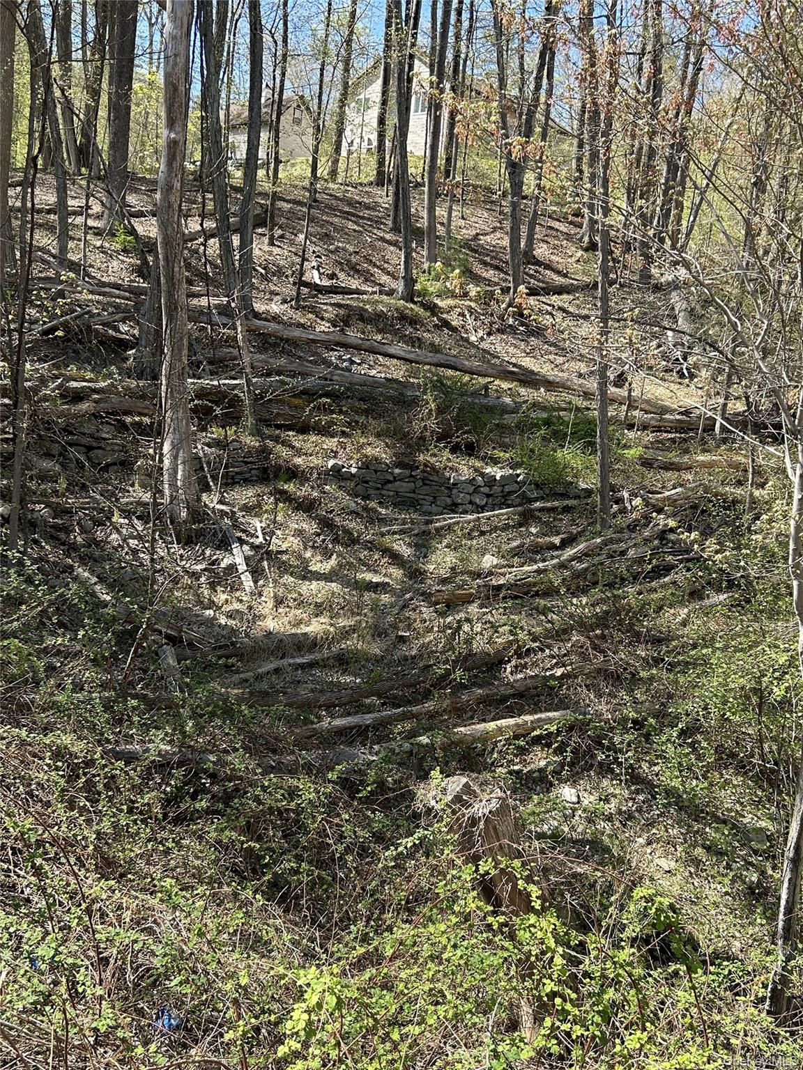 #17 photo, 14 Hawk Mountain Drive, Sparrowbush , NY 12780