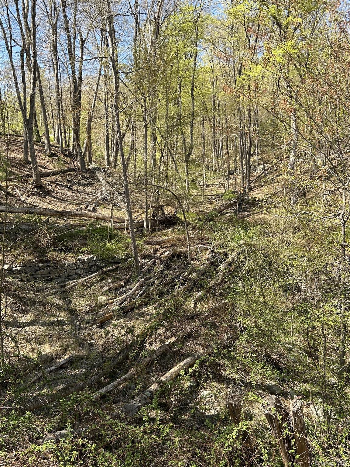 #18 photo, 14 Hawk Mountain Drive, Sparrowbush , NY 12780