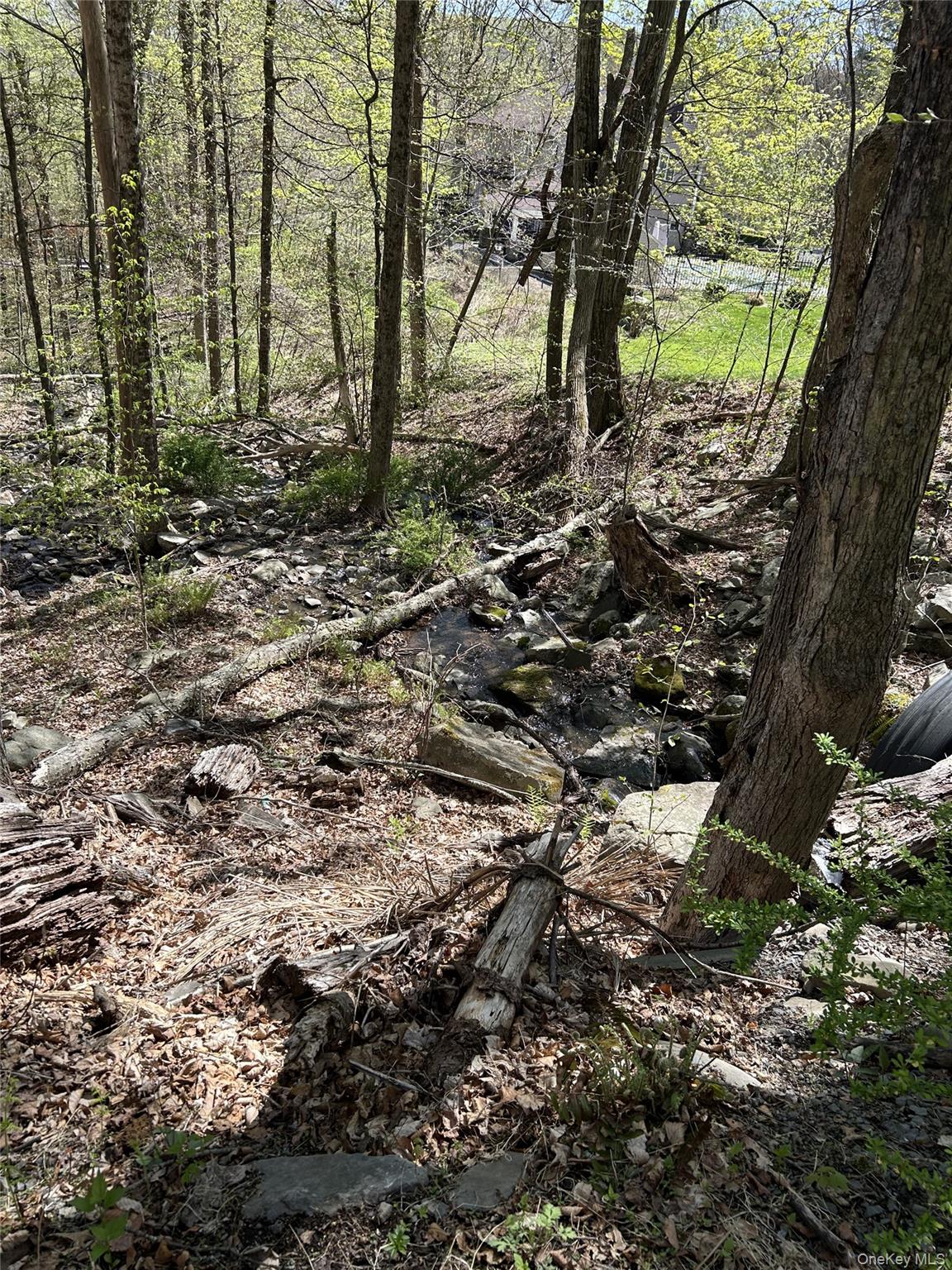 #2 photo, 14 Hawk Mountain Drive, Sparrowbush , NY 12780