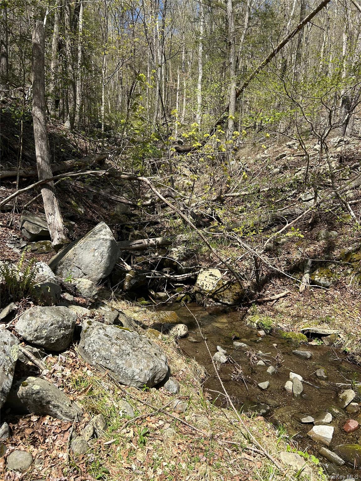 #20 photo, 14 Hawk Mountain Drive, Sparrowbush , NY 12780