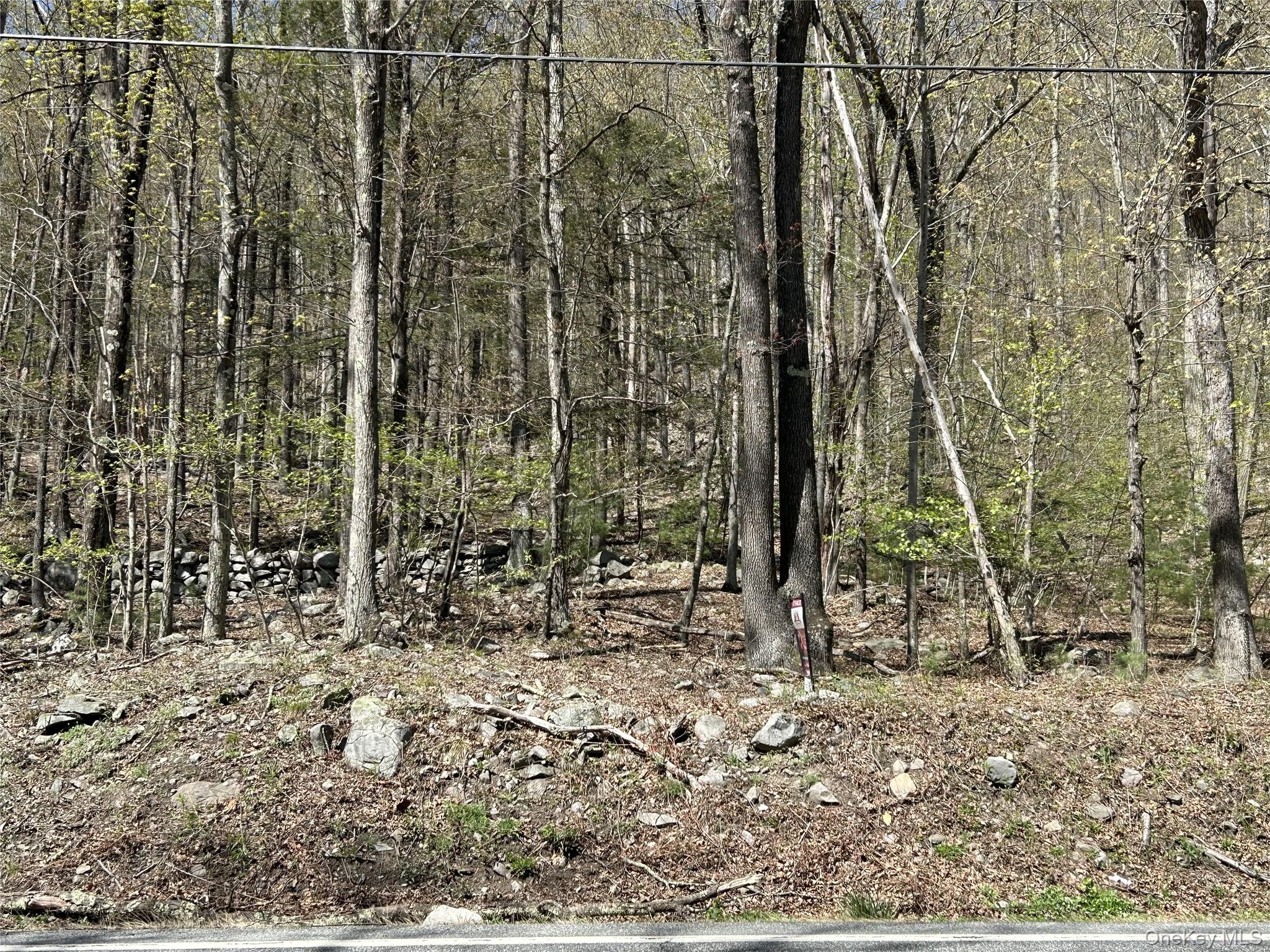 #3 photo, 14 Hawk Mountain Drive, Sparrowbush , NY 12780