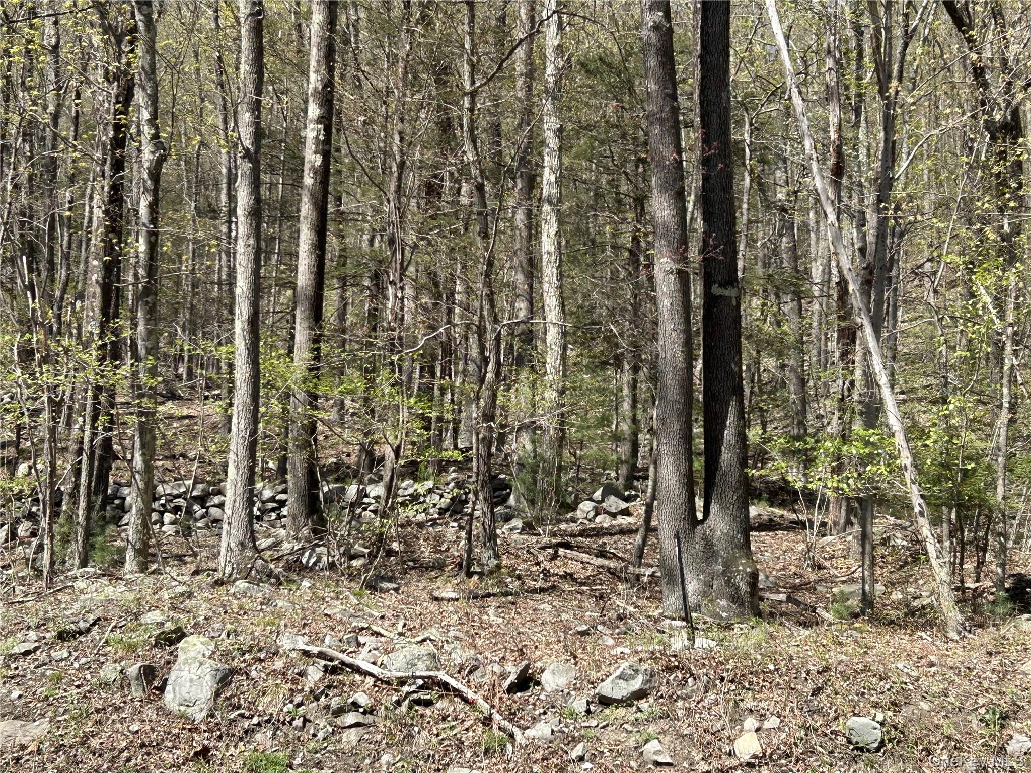 #4 photo, 14 Hawk Mountain Drive, Sparrowbush , NY 12780