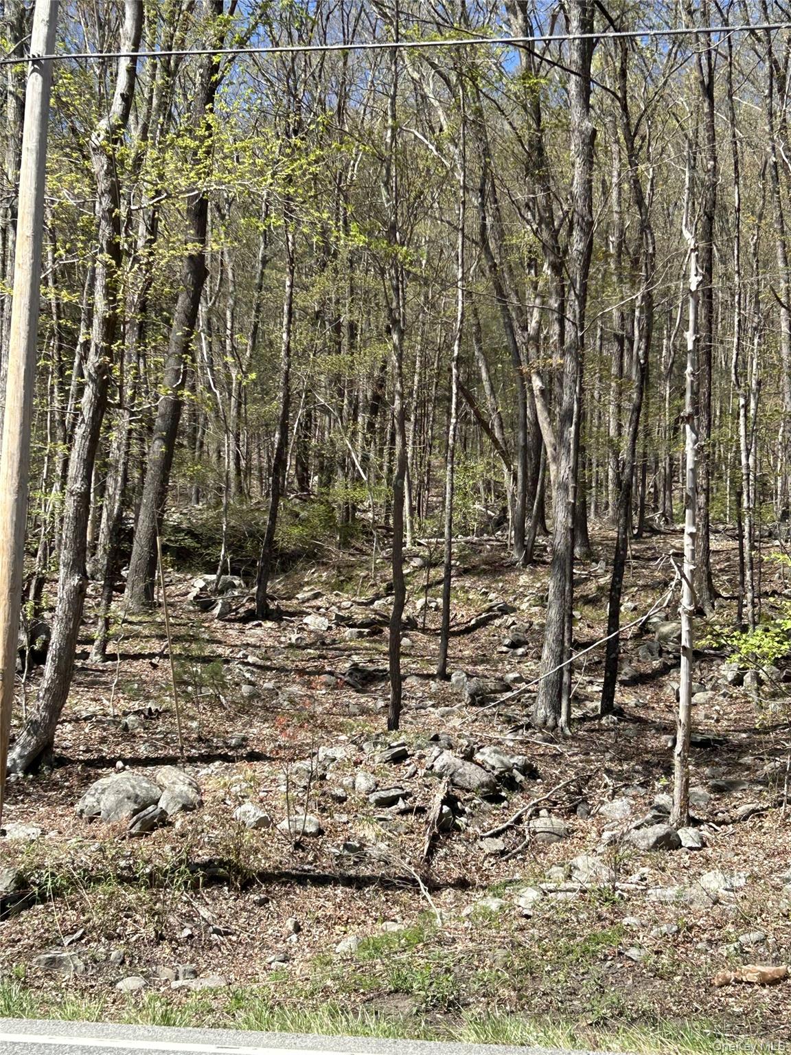 #5 photo, 14 Hawk Mountain Drive, Sparrowbush , NY 12780