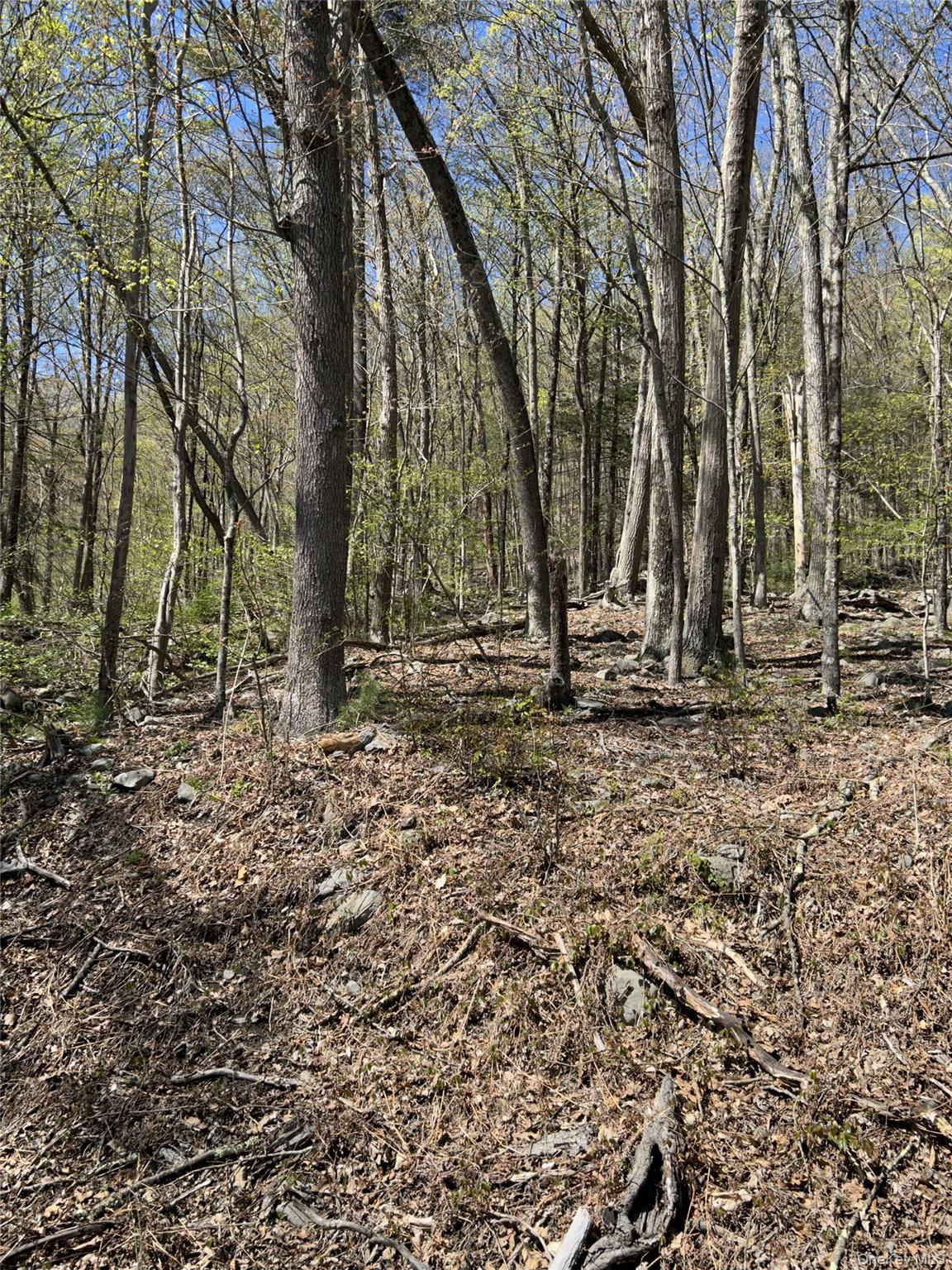 #6 photo, 14 Hawk Mountain Drive, Sparrowbush , NY 12780