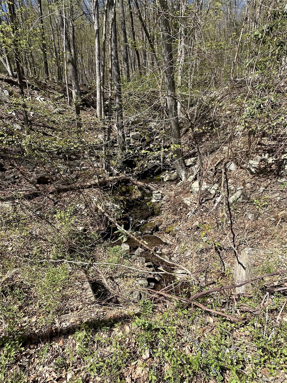 #7 photo, 14 Hawk Mountain Drive, Sparrowbush , NY 12780