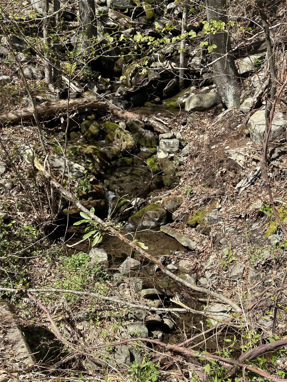 #8 photo, 14 Hawk Mountain Drive, Sparrowbush , NY 12780