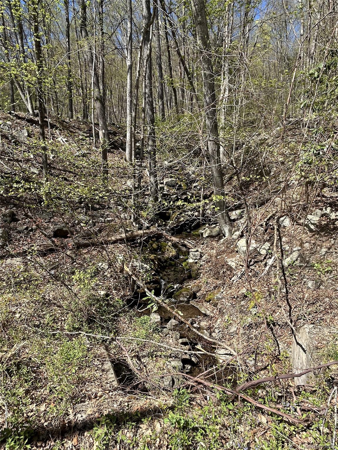 #9 photo, 14 Hawk Mountain Drive, Sparrowbush , NY 12780