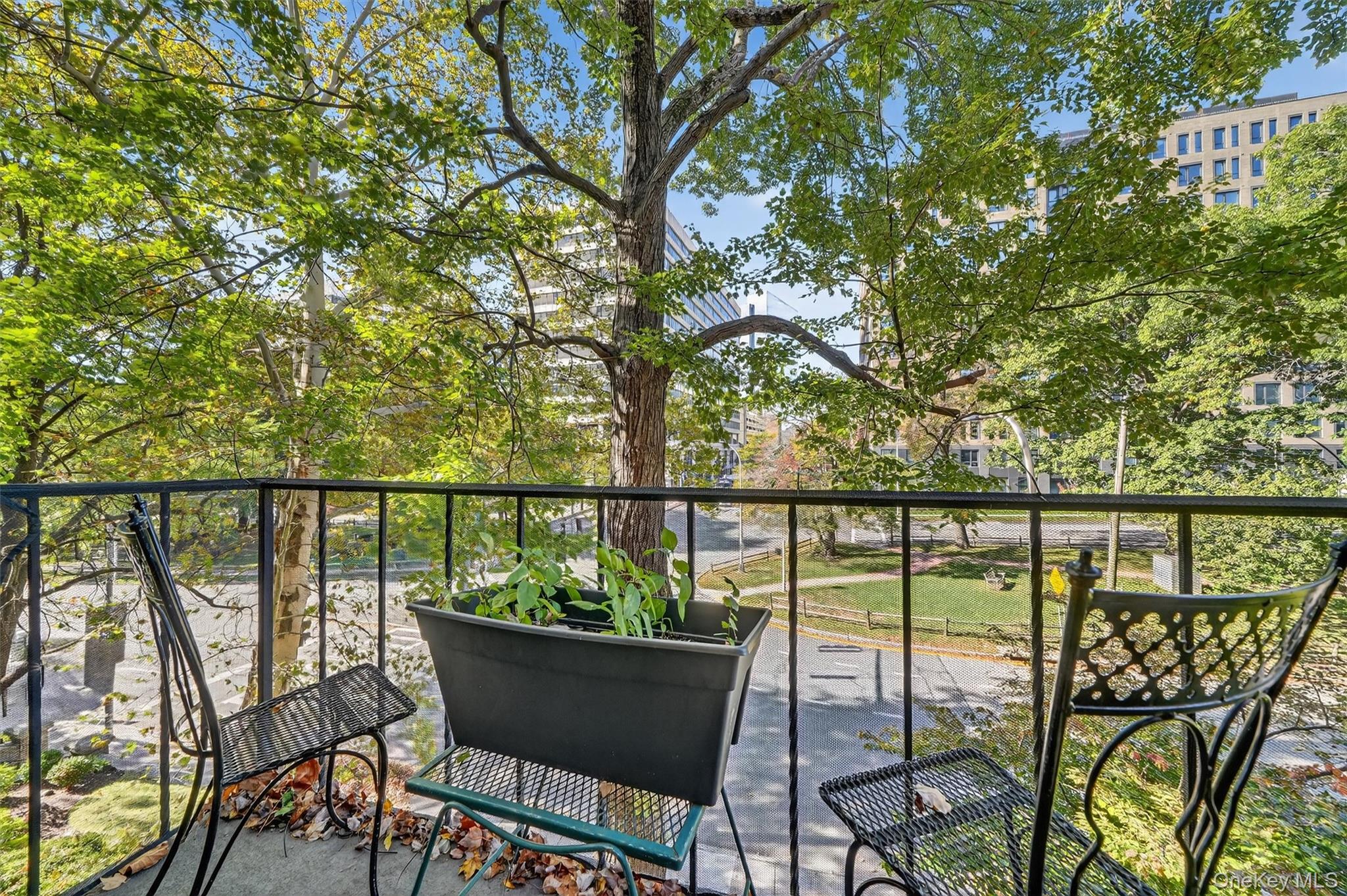 #13 photo, 20 N Broadway, White Plains , NY 10601