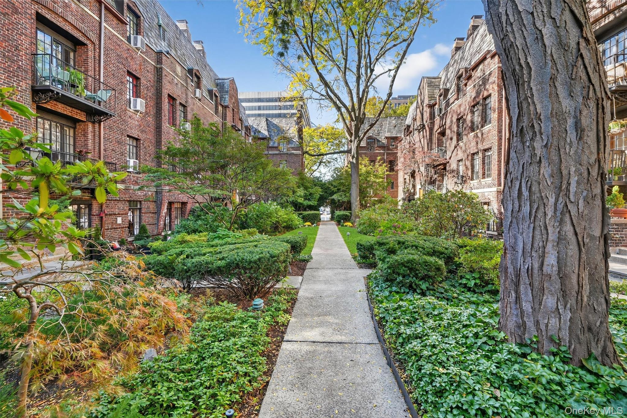 #4 photo, 20 N Broadway, White Plains , NY 10601