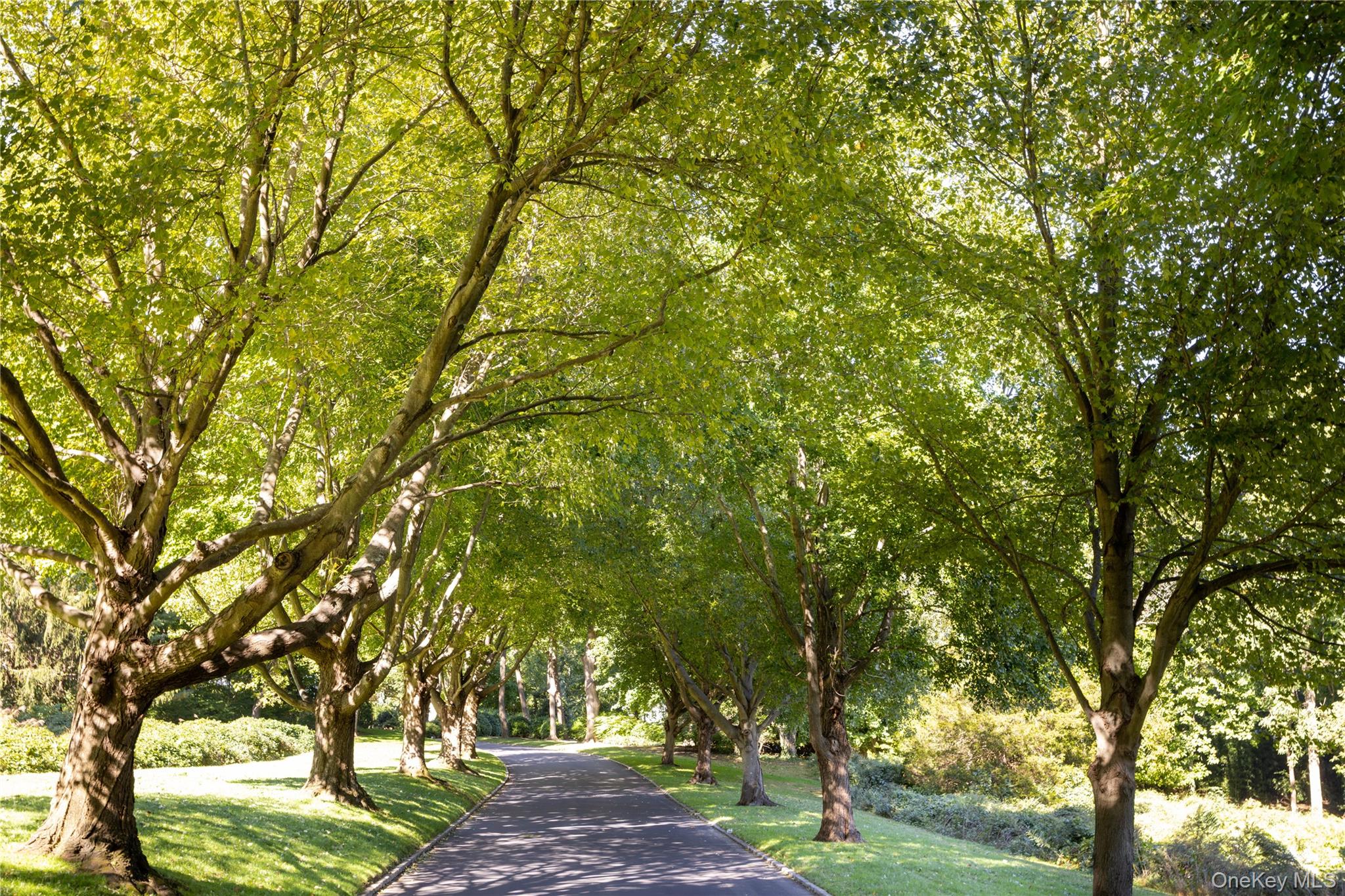 #2 photo, 7 Rabbit Run, ナッソー郡 Glen Cove , NY 11542