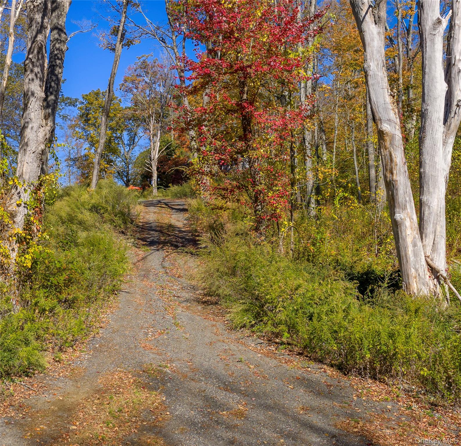 #5 photo, 12 Deverly Road, Holmes , NY 12531