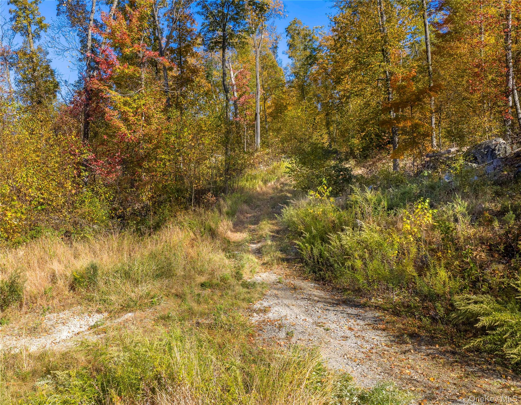 #6 photo, 12 Deverly Road, Holmes , NY 12531