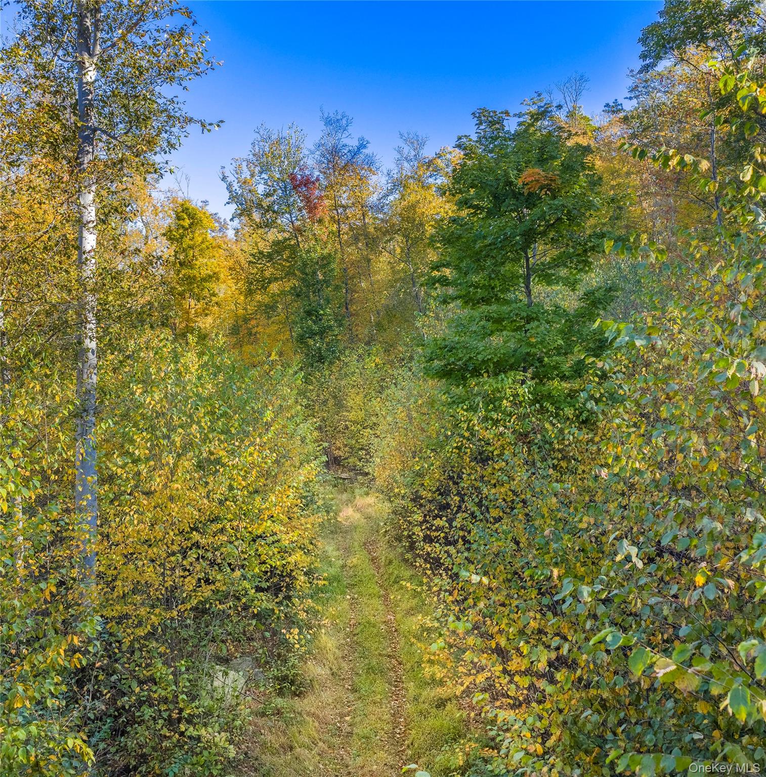 #7 photo, 12 Deverly Road, Holmes , NY 12531