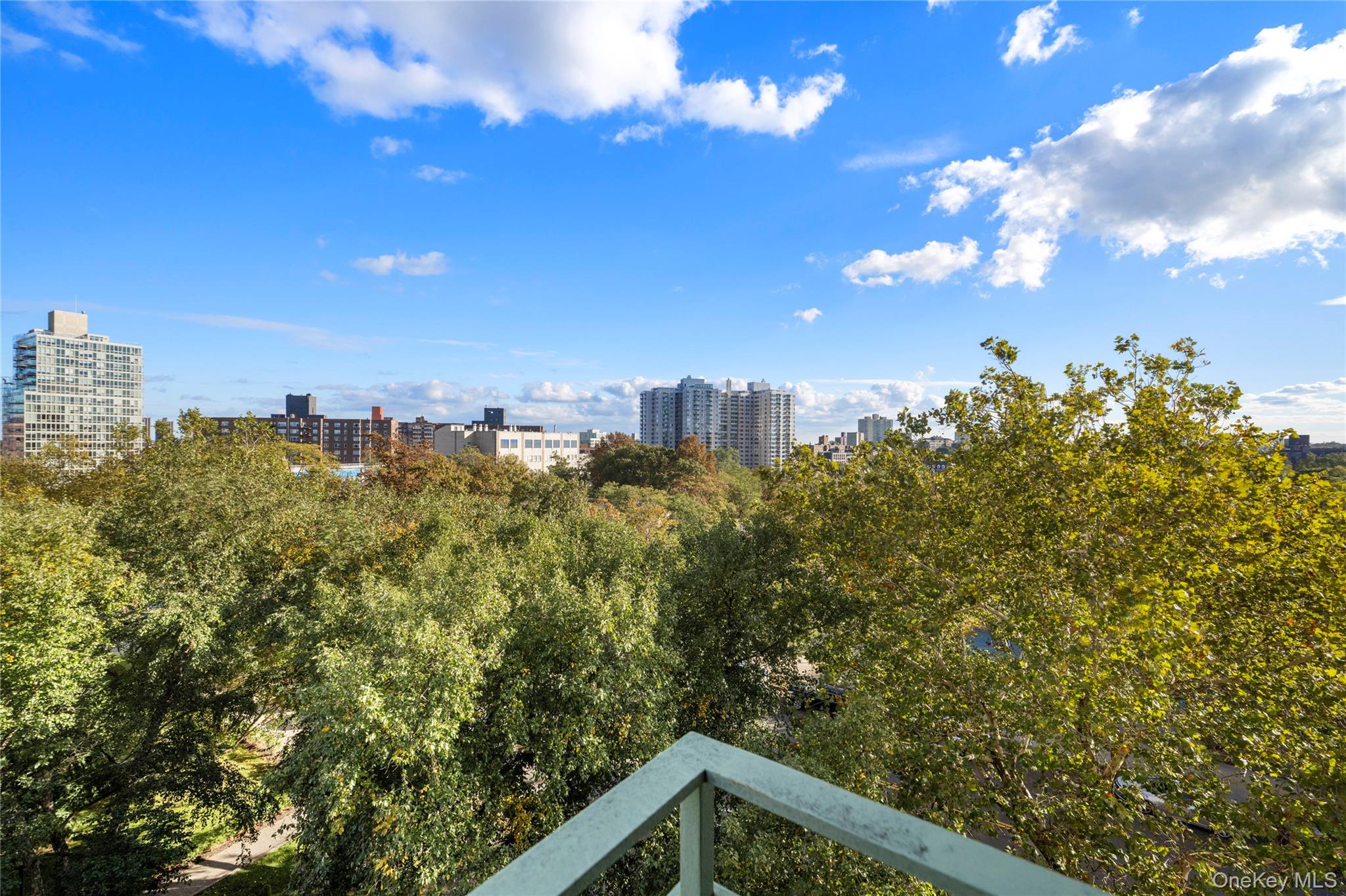 #19 photo, 3750 Hudson Manor Terrace, ブロンクス区 Bronx , NY 10463