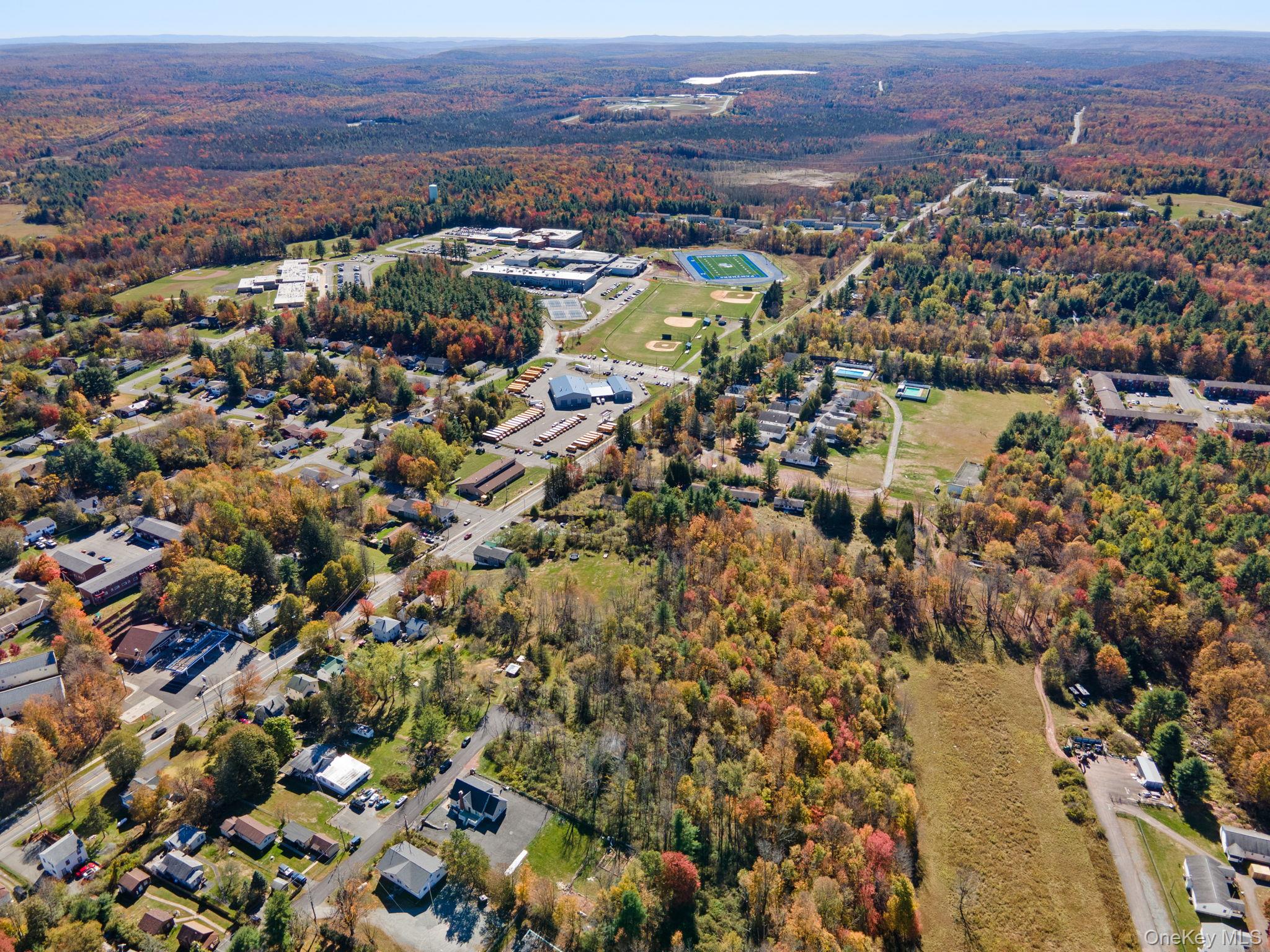 #10 photo, Highland Avenue, Monticello , NY 12701