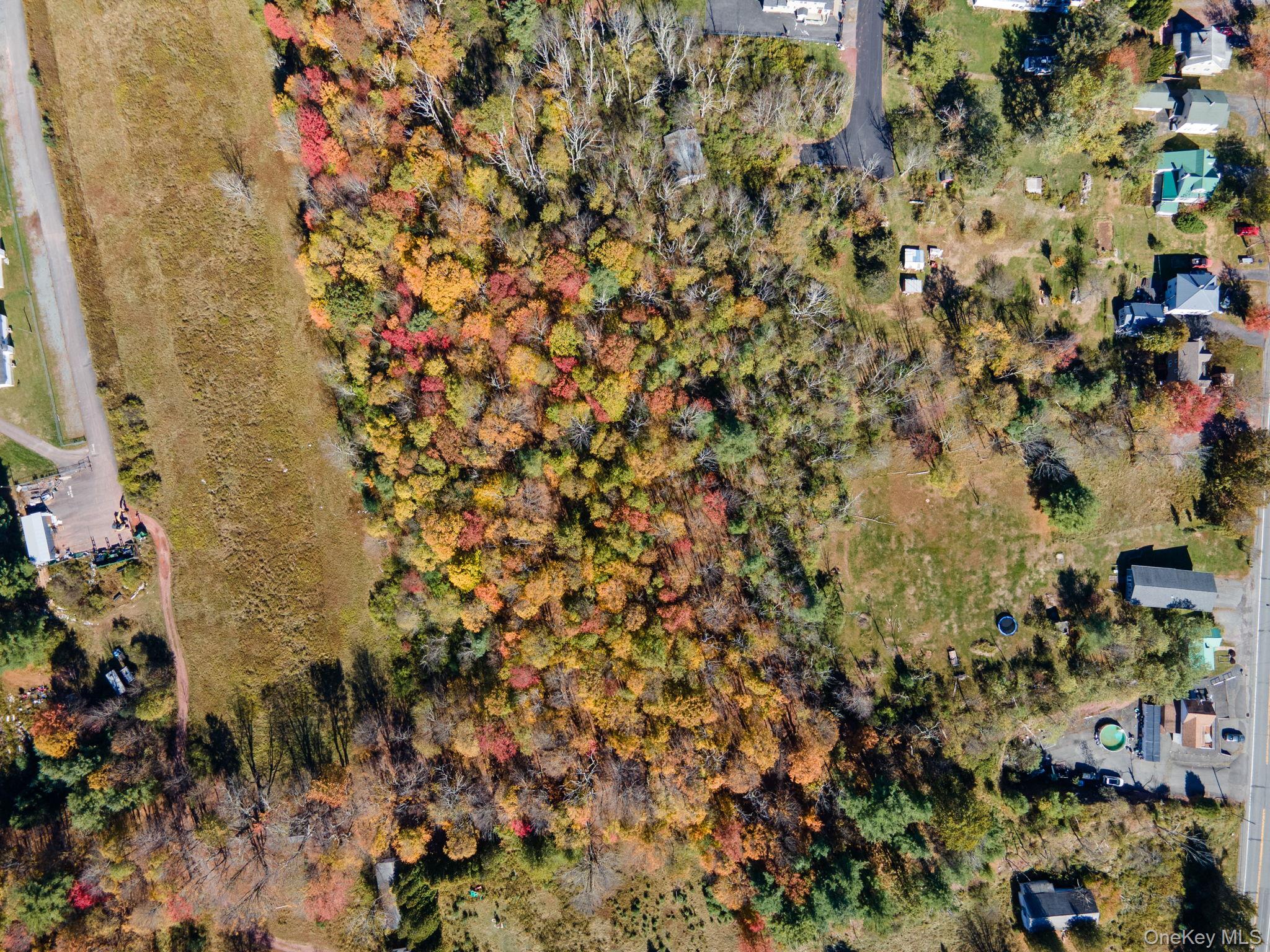 #3 photo, Highland Avenue, Monticello , NY 12701