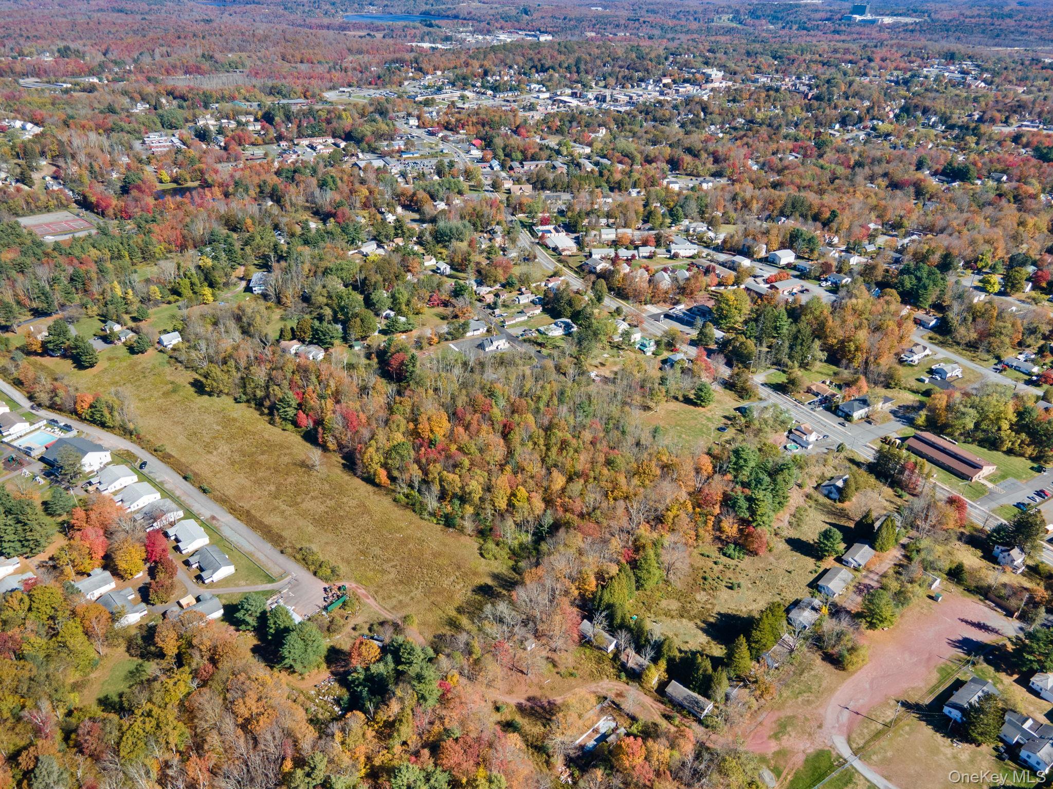 #6 photo, Highland Avenue, Monticello , NY 12701