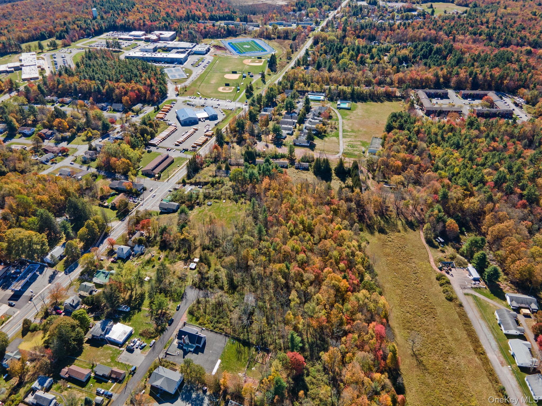 #9 photo, Highland Avenue, Monticello , NY 12701