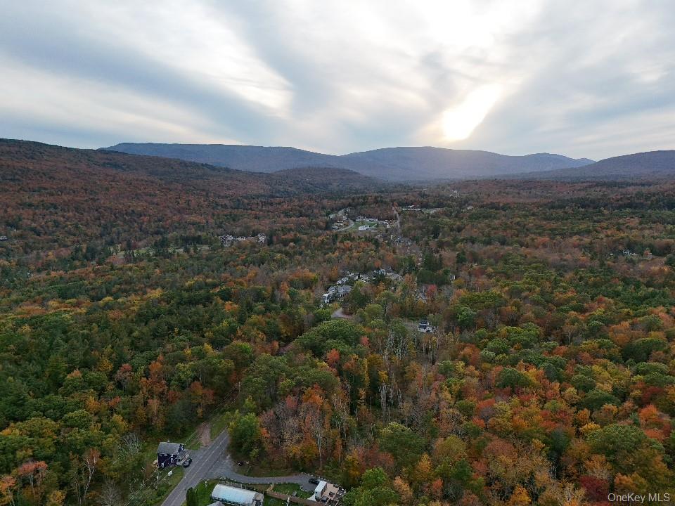 #3 photo, TBD Kornell Drive, Haines Falls , NY 12436