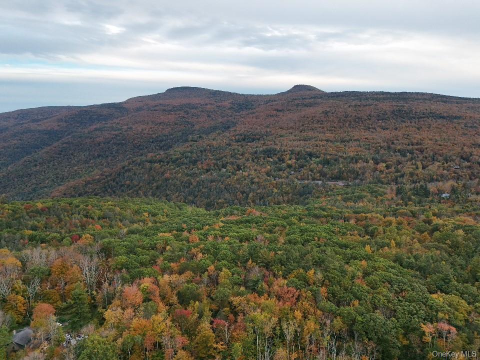 #4 photo, TBD Kornell Drive, Haines Falls , NY 12436