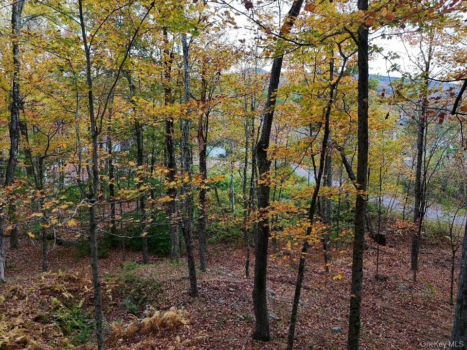 #5 photo, TBD Kornell Drive, Haines Falls , NY 12436