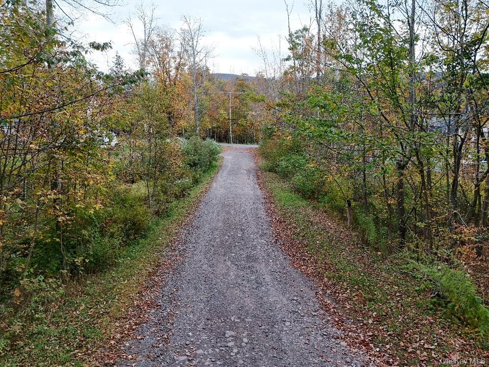 #6 photo, TBD Kornell Drive, Haines Falls , NY 12436