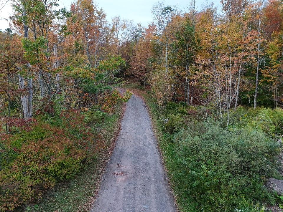 #7 photo, TBD Kornell Drive, Haines Falls , NY 12436