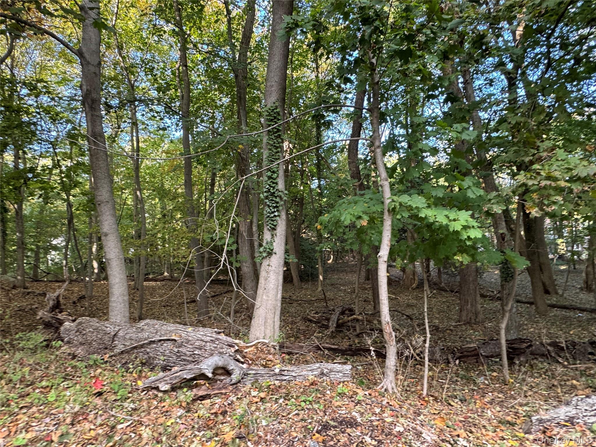 #3 photo, Thompson St/E. Broadway, サフォーク郡 Port Jefferson Village , NY 11777