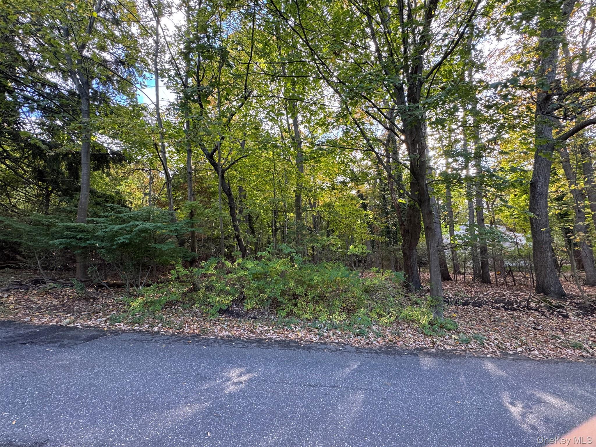 #4 photo, Thompson St/E. Broadway, サフォーク郡 Port Jefferson Village , NY 11777