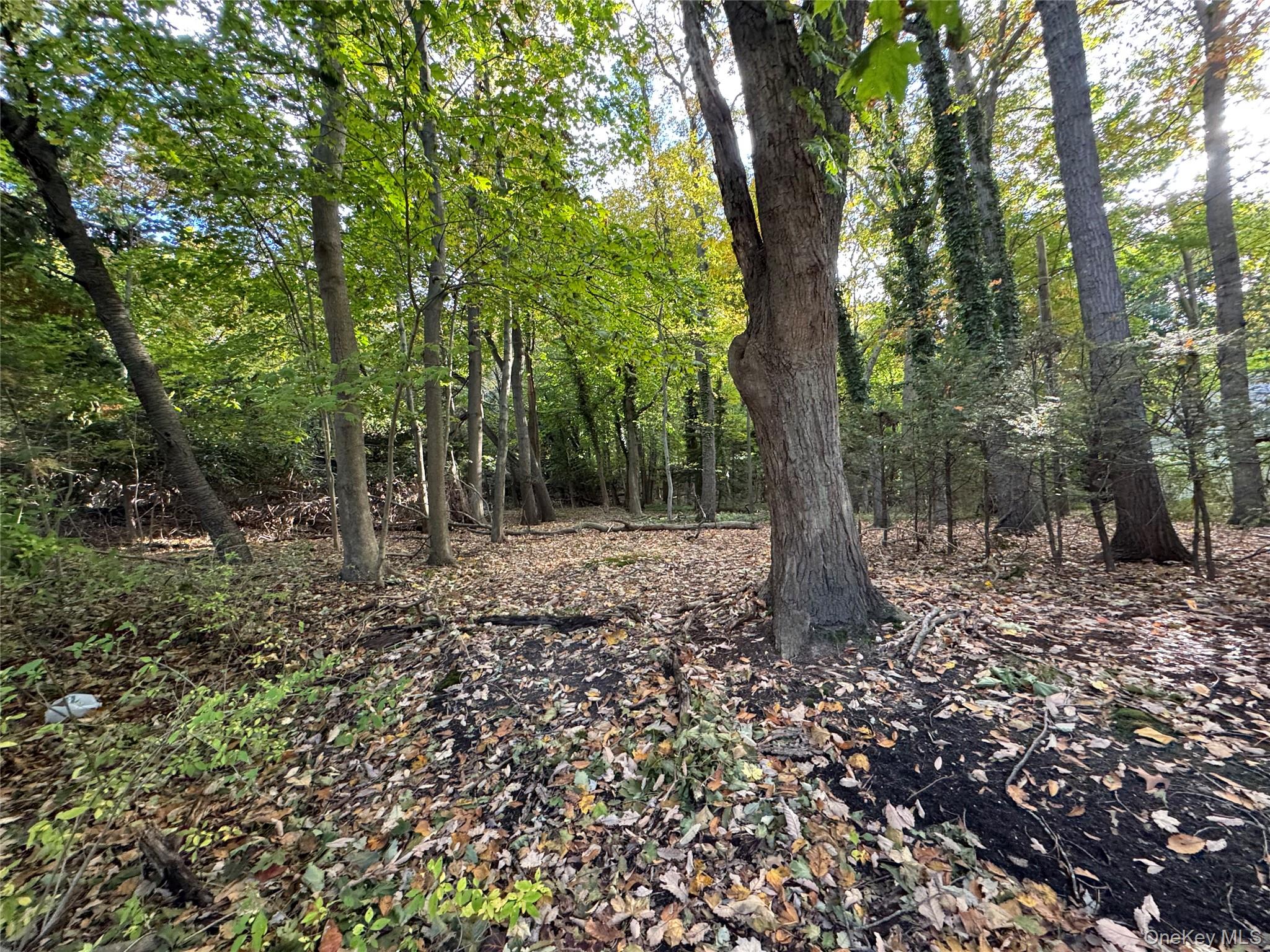 #5 photo, Thompson St/E. Broadway, サフォーク郡 Port Jefferson Village , NY 11777