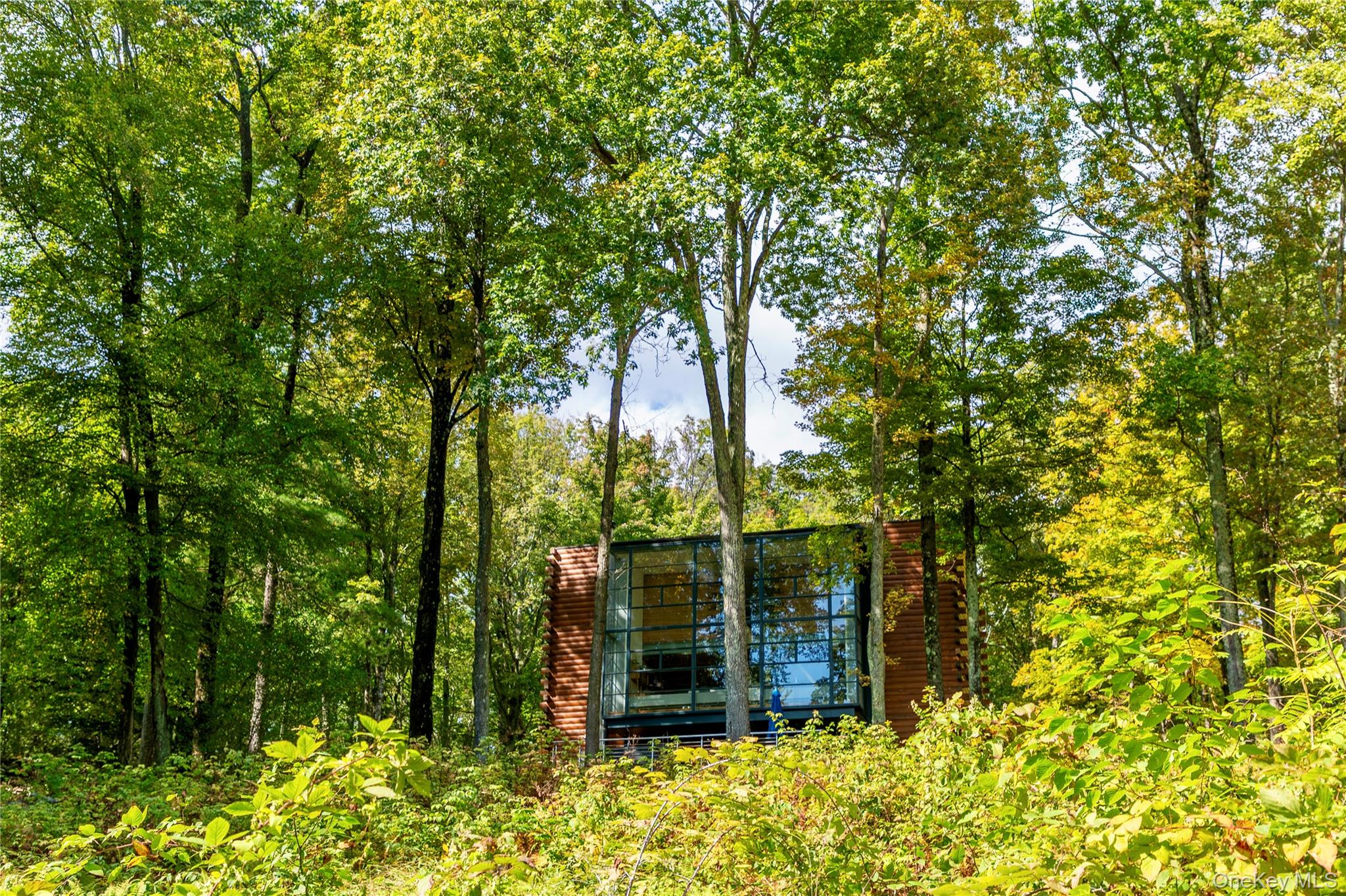 #20 photo, 39 Hornbeck Lane, Accord , NY 12404