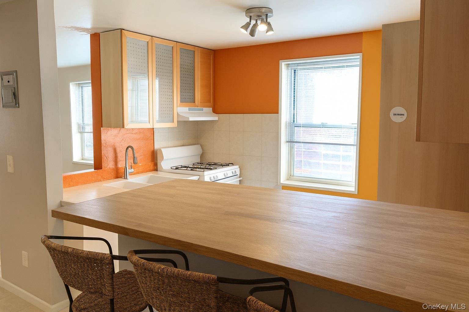 #4 photo, 50 DAVENPORT AVENUE, New Rochelle , NY 10801